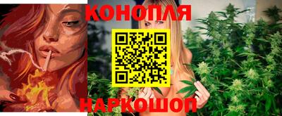 прущие крисы Бузулук