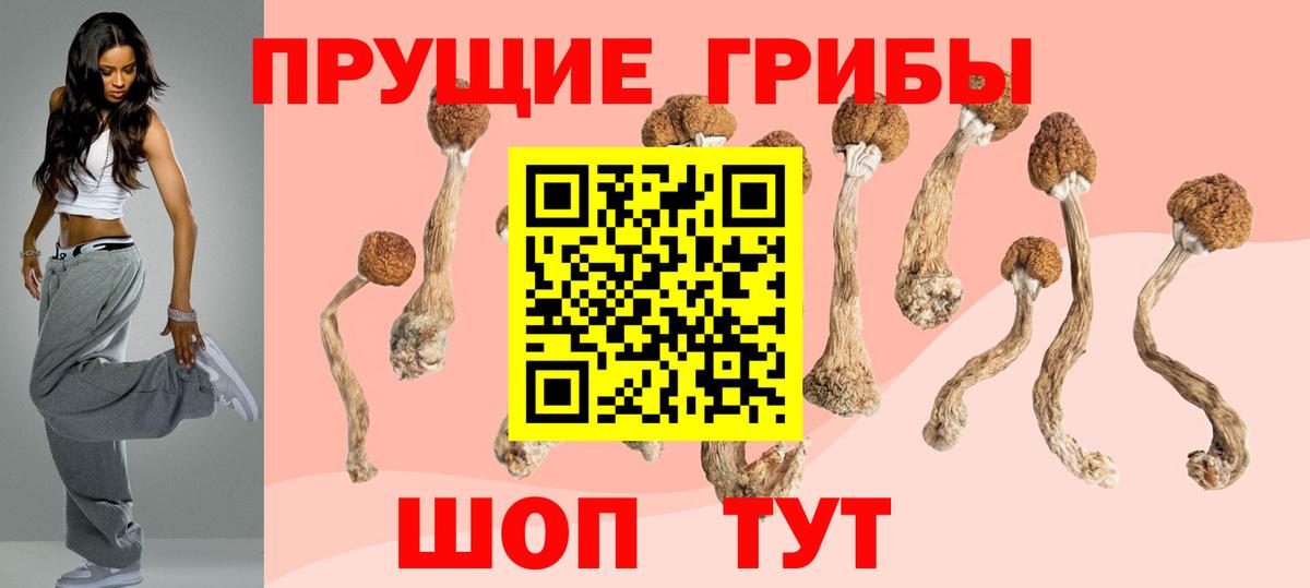 Галлюциногенные грибы Magic Shrooms  Псилоцибиновые грибы Psilocybine cubensis  Вход с VPN  купить  цена  Ялта 